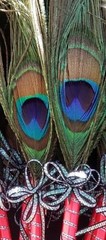12 Peacock Feather Pen Party,forParty,Sweet16,Bridal S,Mom GIft,Weddin Favors
