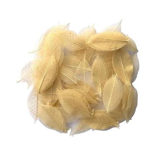 200 Pcs Small 2-3.5 Inches Natural Skeleton Leaves Rubber Tree Scrapbooking,