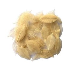 200 Pcs Small 2-3.5 Inches Natural Skeleton Leaves Rubber Tree Scrapbooking,