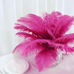 12 pcs 13-15″ long Fuchsia Genuine Ostrich FEATHERS Wedding Party Centerpieces