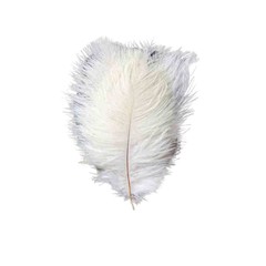12 pcs 24-26″ long White Genuine Ostrich FEATHERS Wedding Party Centerpieces