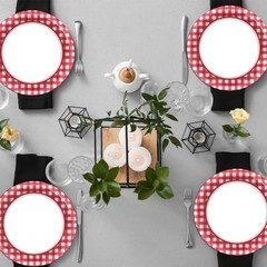 48 Pcs Pizza Red and White Plates Checkered Plaid Dessert Plates Red Picnic