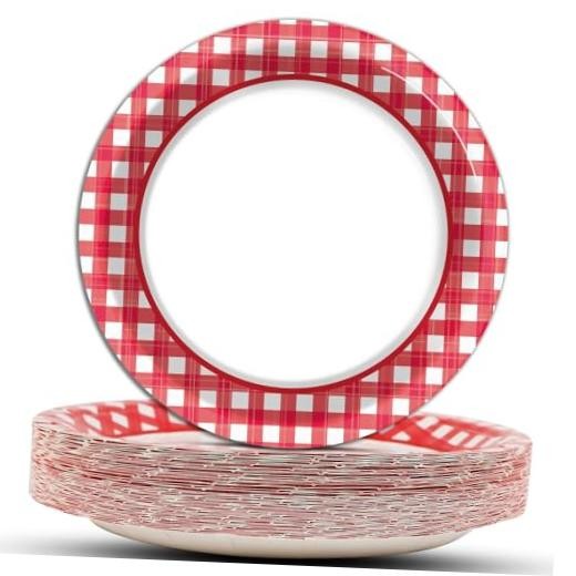 48 Pcs Pizza Red and White Plates Checkered Plaid Dessert Plates Red Picnic