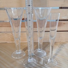 Champagne Flutes Trumpet And Slim Bride Amd Groom