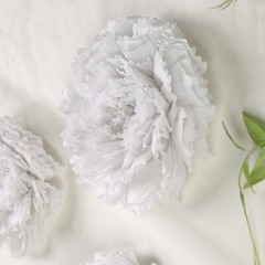 12 pack 12″ 16″ 20″ White Tissue Paper Carnation Flowers Sale Sale Home Backdrop