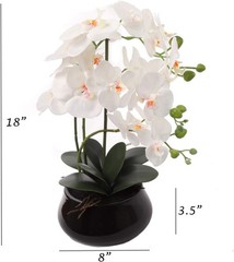 Larksilk 8-Pack Bulk White Artificial Orchids in Pots ? Silk Phalaenopsis Flo…