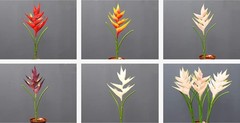 Rikyo 34 in/86cm Large Bird of Paradise Heliconia Stem 34 inches, Red