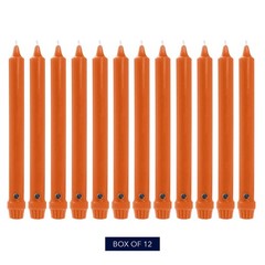 Colonial Candle Unscented Taper Candle, Classic Collection, 10 In, Pumpkin