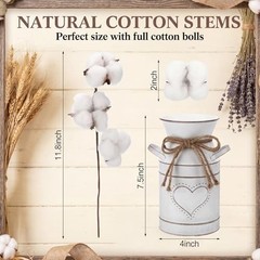 2 Pack 7.5″ High Decorative Vase with 10 Pcs Cotton Stems, Cotton Flowers in