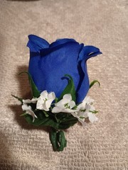NEW 5″ Artificial White Rose Wrist Corsage W/Blue Butterfly, Royal Blue Bow Bout