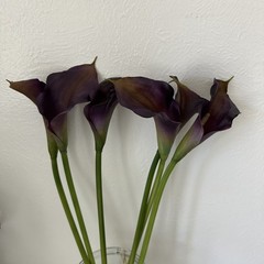 EUC REAL TOUCH PURPLE/GOLD CALLA LILY FLOWER – 6 STEMS 19” Tall