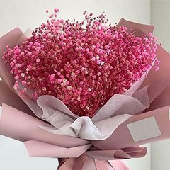 9000+ Bloom Pink Dried Babys Breath Flowers 150 Stems – Bulk Gypsophila