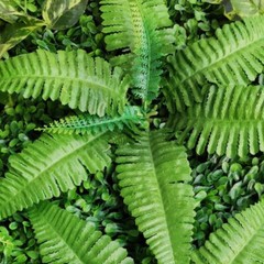 9*Artificial Plant Wall Panel Grass Hedge Vertical Garden Backdrop Decoration US
