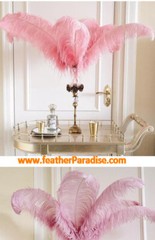 Blush Pink Ostrich Feathers 14-16 inches 50 Pieces Dozen Blush Feather Wedding
