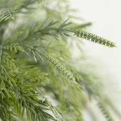 2 Frosted Green 15″ ARTIFICIAL Sagebrush LEAVES Faux Greenery Stems Party Events