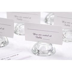 50 PCS WEDDING RECEPTION SEATING TABLE PLACE CARDS BY VICTORIA LYNN