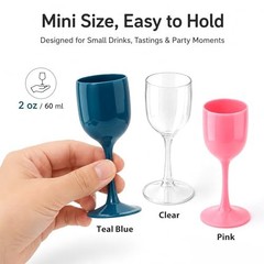 12 Pack 2 oz Clear Plastic Wine Glasses with Stem – Mini Wine 12 Pcs