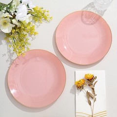 DUSTY ROSE 10 Glossy 8″ Round Plastic Salad PLATES Gold Rim Party Events