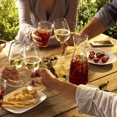 Bormioli Rocco Ypsilon Wine Clear Glass For Water Juice Milk Coffee Iced Tea