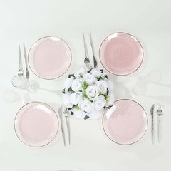 TRANSPARENT BLUSH 10 Glossy 10″ Round Plastic Salad PLATES GOLD Rim Party Events