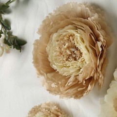 24 pack 12″ 16″ 20″ Natural and Taupe Tissue Paper Carnation Flowers Backdrop