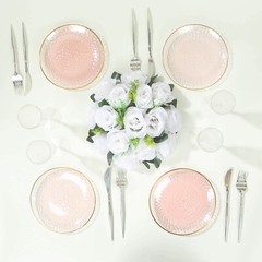 TRANSPARENT BLUSH 10 Glossy 8″ Round Plastic Salad PLATES GOLD Rim Party Events