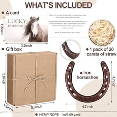 VioraWhite Good Lucky Horseshoe Decor Gift Sets with Card Rope New Home