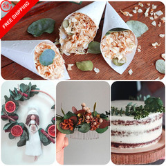 Preserved Eucalyptus Leaves, 1600 Pcs, Natural Small Green Small,