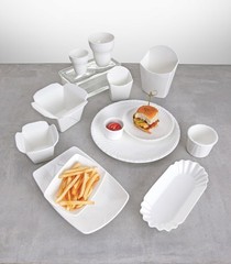 Fortessa Fortaluxe Food Truck Chic Paper Plate Design Dinner Plate 10-Inch Set