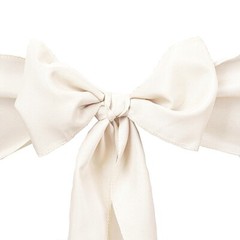 10 Beige Polyester CHAIR SASHES Ties Bows Wedding Party Ceremony Decorations