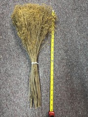 Dried Babys Breath (Dried Gypsophila) Natural Brown Color