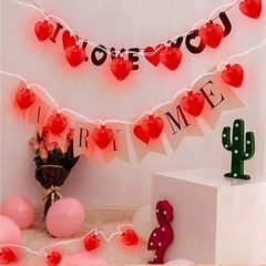 8.5Ft Heart String Lights, Valentine Decoration Lights with 10 Red Heart Lights