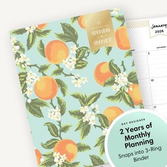 Blue Sky Day Designer 24 Month 2026-2027 Monthly Planner Calendar, January 20…