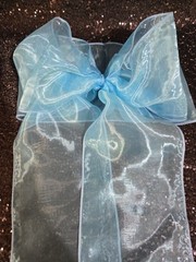 150pc Sheer Chair Decor Bow Sash 106″ x 6″ Light Turquoise Wedding Party Organza