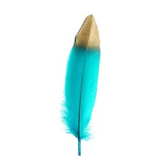 60 TURQUOISE with Metallic Gold Tip Natural Goose Feathers Wedding Decorations