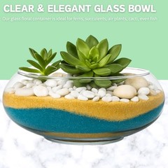 2 Pack Glass Vase Bowl, 6″/ 8″ Wide Mouth Flower Vase Round Terrarium, Glass