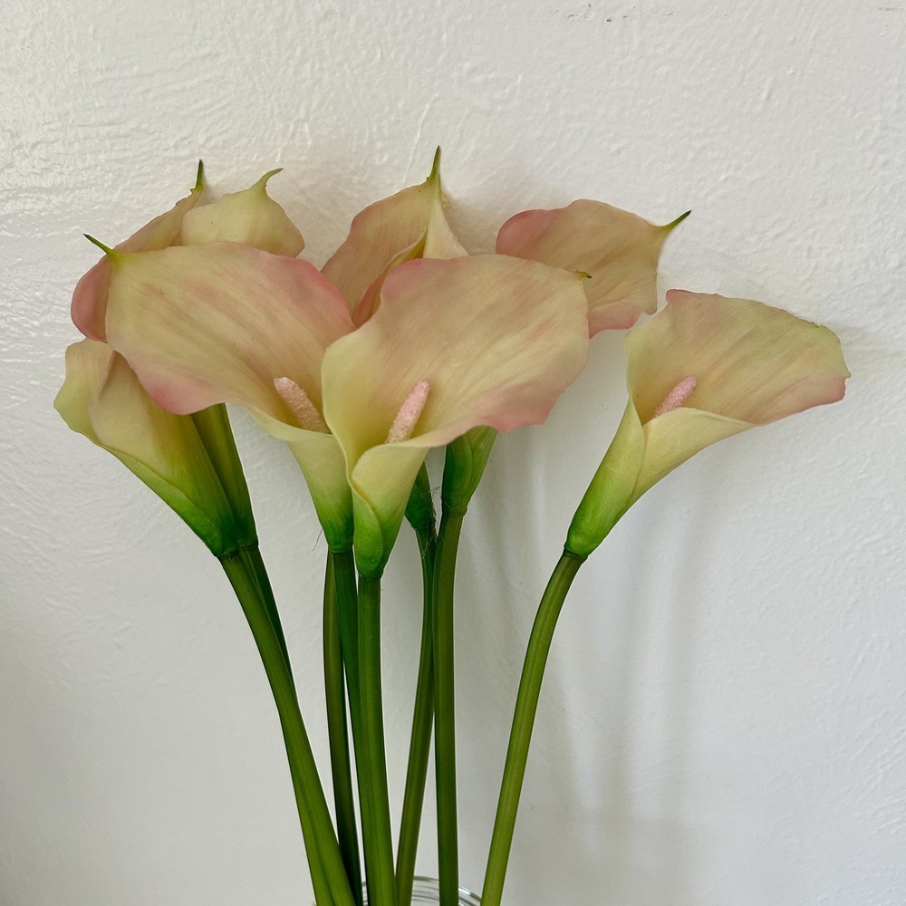 EUC REAL TOUCH CREAM/PINK CALLA LILY FLOWER – 8 STEMS 19” Tall