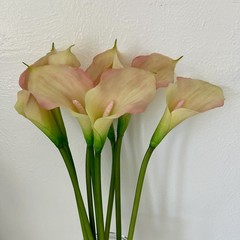 EUC REAL TOUCH CREAM/PINK CALLA LILY FLOWER – 8 STEMS 19” Tall