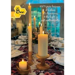 8 Inch Hand-Rolled Beeswax Taper Candles – Little 8 Single Pair, Ivory