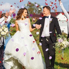 200Pcs Purple White Rose Petals for Wedding Lavender Purple Silk Petals