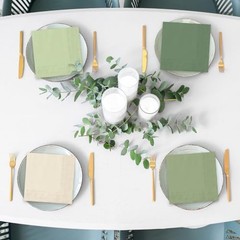120 Sheet Sage Green Cocktail Napkin 2 Ply Color 5 x 5 In Nude Sage Green