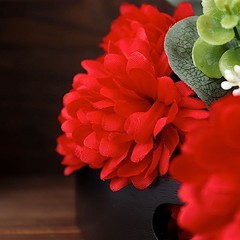 12 Chrysanthemum Mums Bushes Wedding Decoration Centerpieces Bouquet SALE