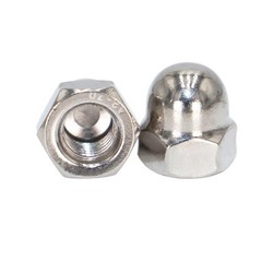 M6 Acorn Cap Nuts 40 pcs 304 Stainless Steel Dome Cap Hex Nuts for Outdoor In…
