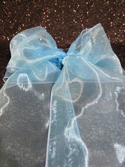 150pc Sheer Chair Decor Bow Sash 106″ x 6″ Light Turquoise Wedding Party Organza