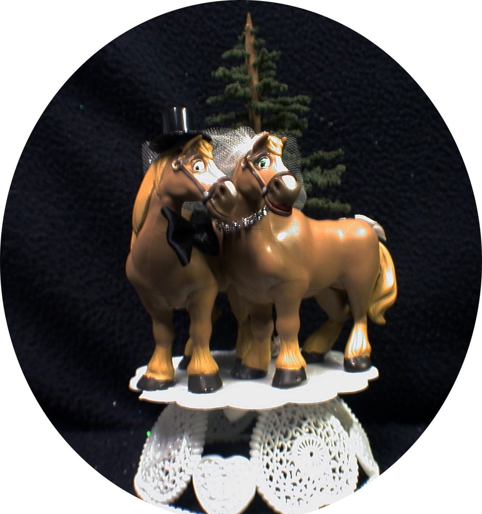 Country Western Horse Wedding Cake Topper Groom top Farmer Barn Cowboy Cowgirl
