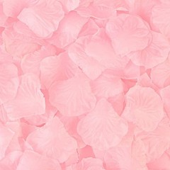 1000 Count Light Pink Artificial Rose Petals – Reusable Wedding Accents
