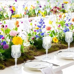 7OZ Plastic Wine Glasses, 24Pcs Reusable Drinking Cups Vintage 24 PCS Clear