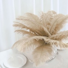 12 pcs 13-15″ long Beige Genuine Ostrich FEATHERS Wedding Party Centerpieces