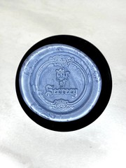 100 Count Icy Steel Sealing Wax Beads. Over 200 colors available!
