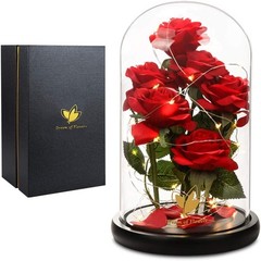 Valentines Day Gifts for Her,Valentines Decor Beauty and The Beast Rose Flowers